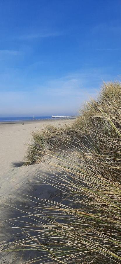 Maison Fleur Nieuwpoort Bagian luar foto